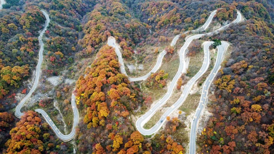 秋染金寨中国红岭公路