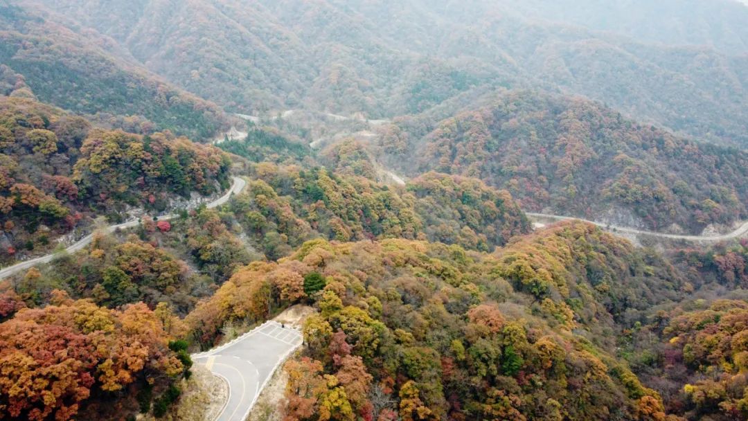 秋染金寨中国红岭公路
