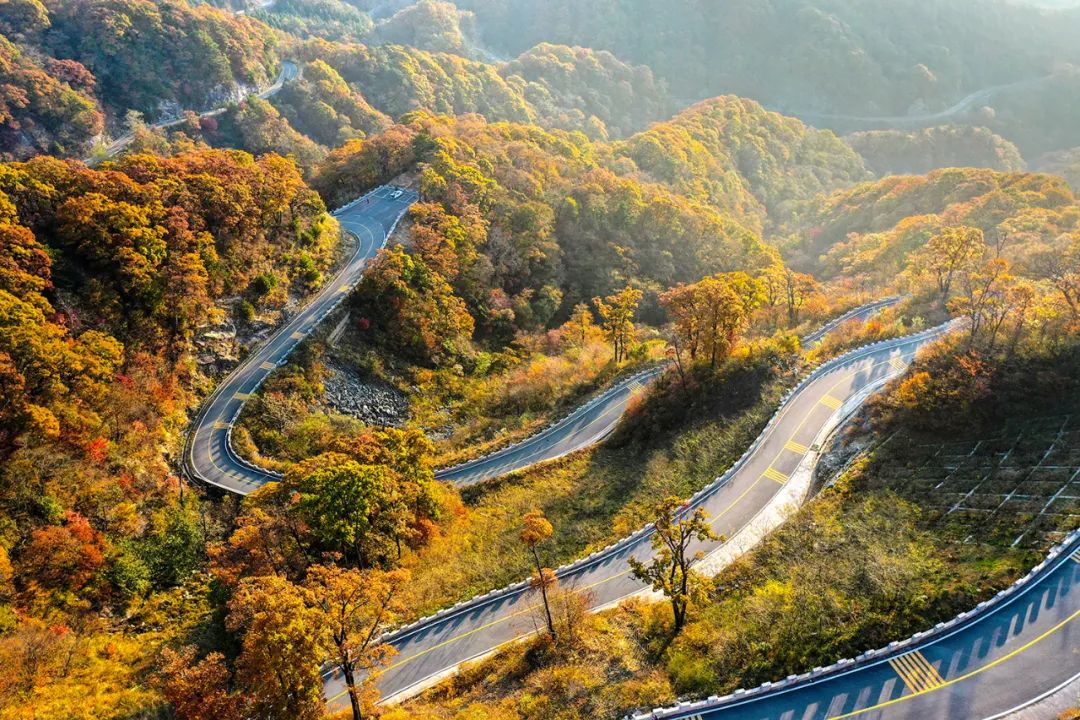 秋染金寨中国红岭公路