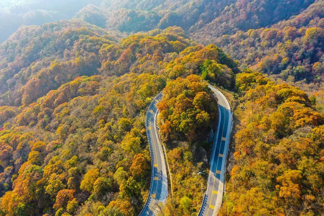 秋染金寨中国红岭公路