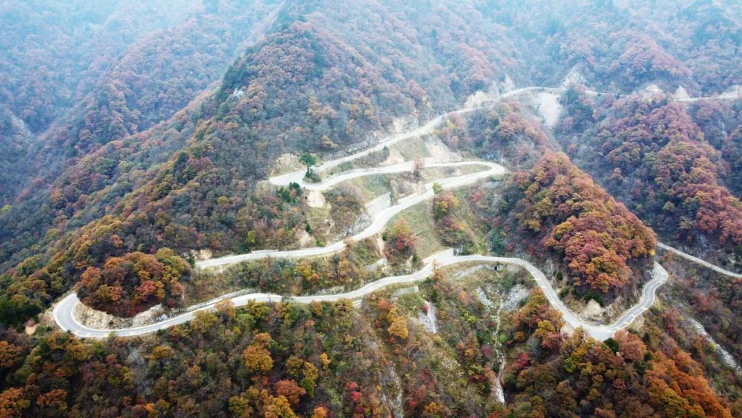 秋染金寨中国红岭公路